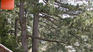 Blick von der Unterkunft