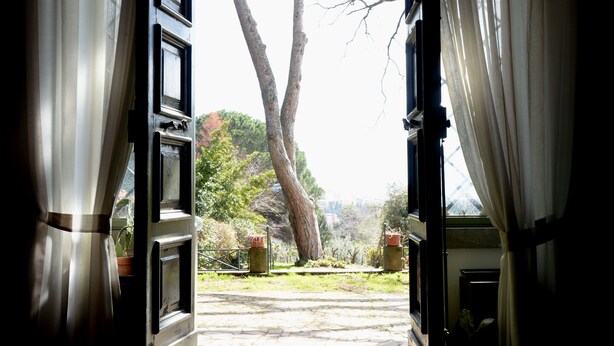 An open door leading to a garden with a large tree and potted plants. -  Vigna dell'Agrifoglio Home Residence di Eugenio Azzolini (Velletri)