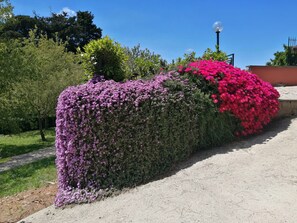 Vistas al campo desde el alojamiento