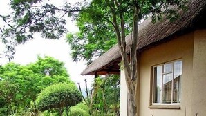 A pathway leading to a house with a thatched roof, surrounded by various plants and trees. - African Rest Lodge (Barberton)