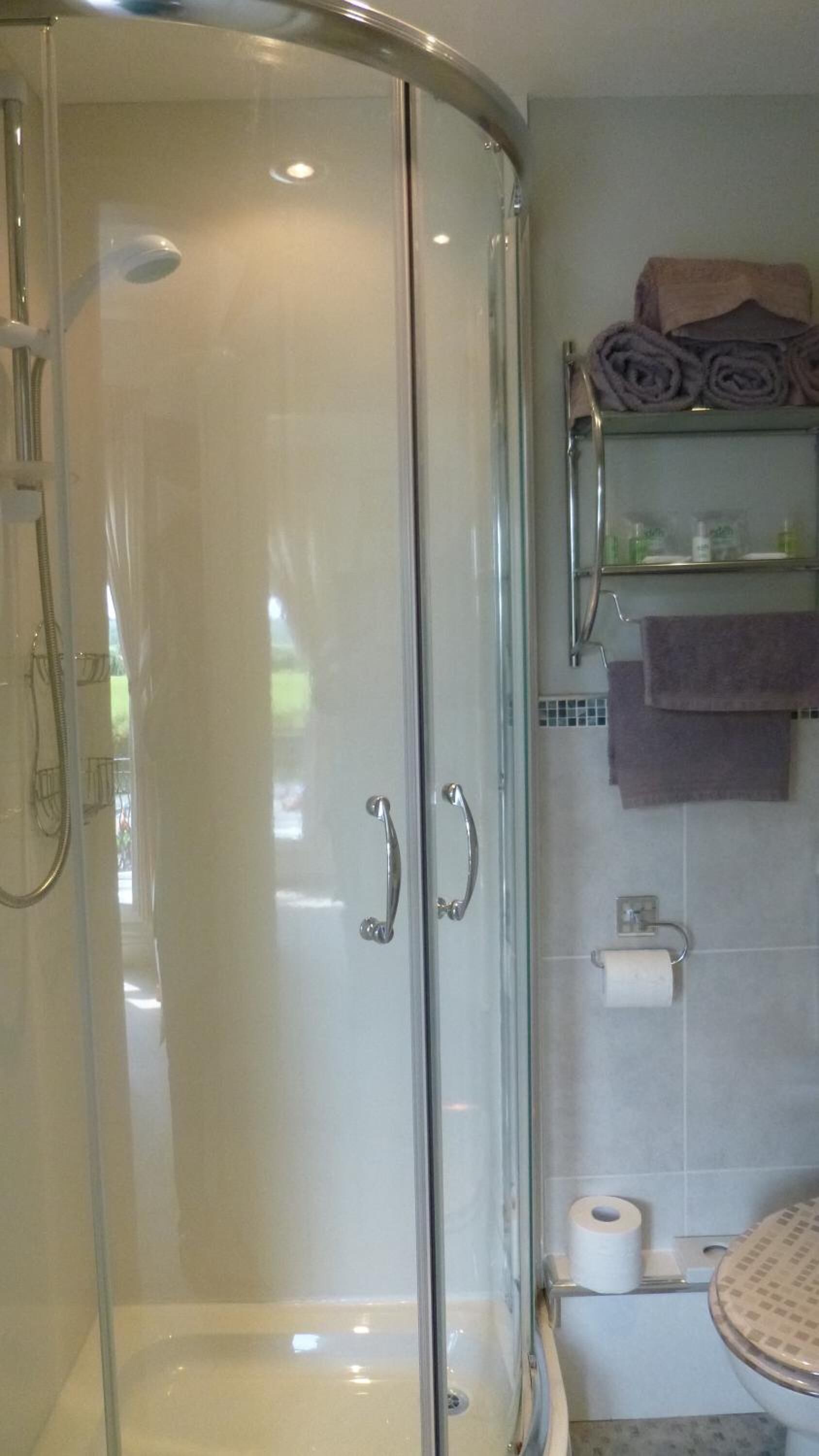 Une douche fermée par des parois en verre, dotée d’un pommeau de douche à main, des toilettes avec un porte-serviettes en papier et un porte-serviettes contenant des serviettes pliées.
