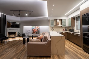 TV connectée, cheminée, vidéothÚque, chaßne hi-fi