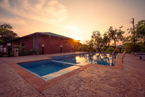 Una piscina al aire libre, sombrillas, sillones reclinables de piscina