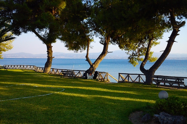 Beautiful View