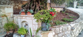 TZITZIFES GAMLA STENMANSION