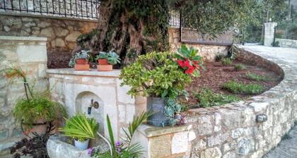 TZITZIFES OLD STONE MANSION