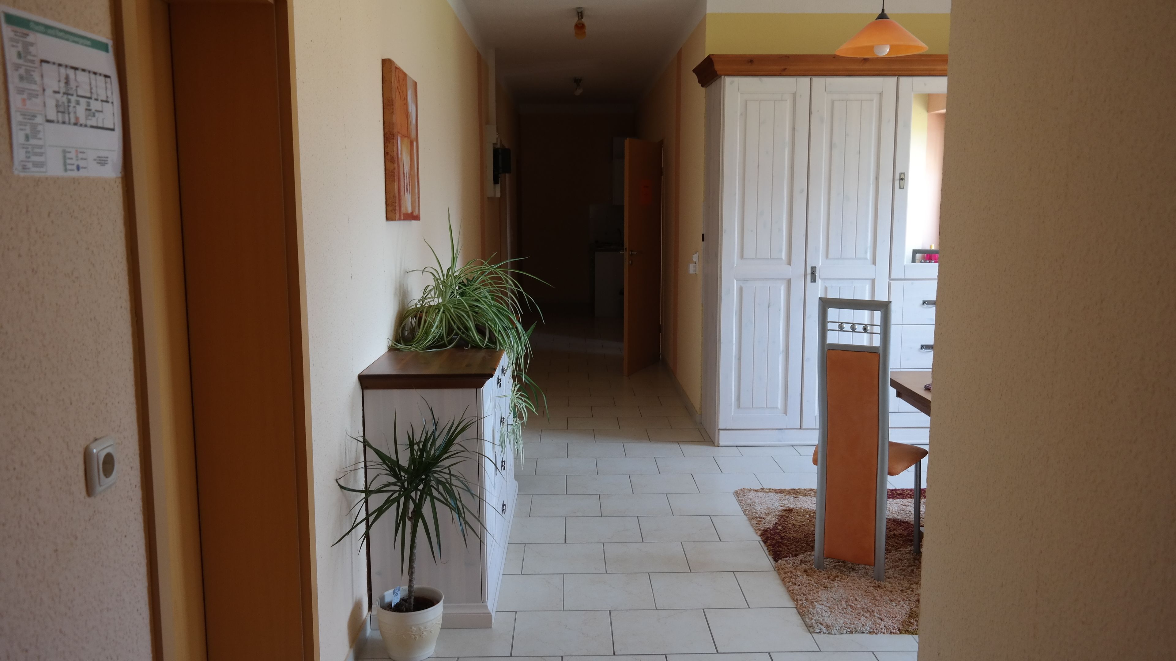 A hallway with a potted plant, a white door, and a wooden table.