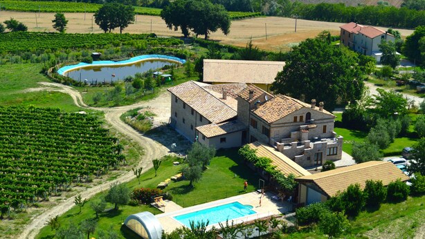 A large villa with a swimming pool, surrounded by lush vineyards and a small lake.
