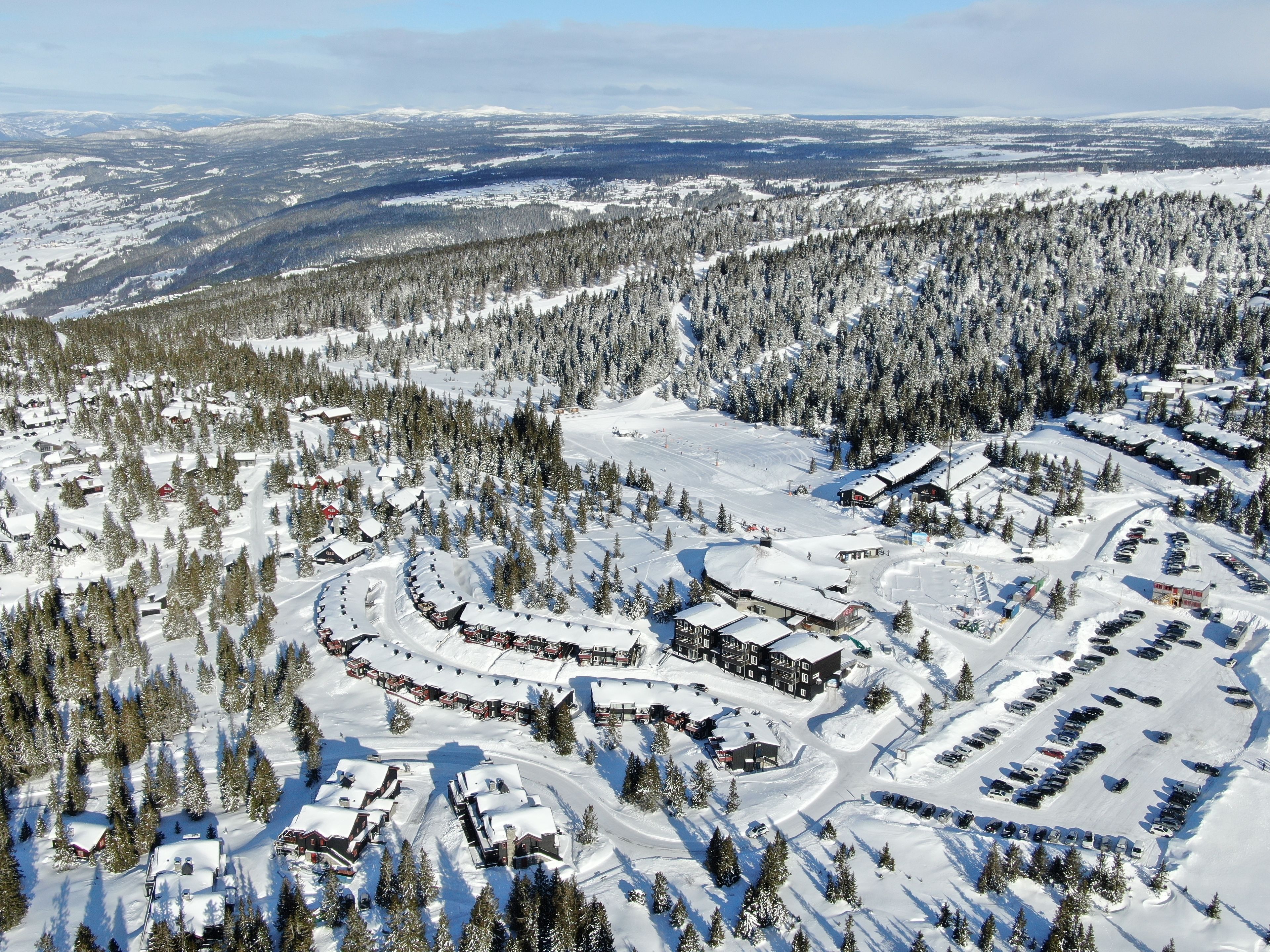 Skikjøring