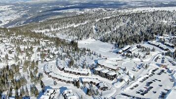 Skikjøring