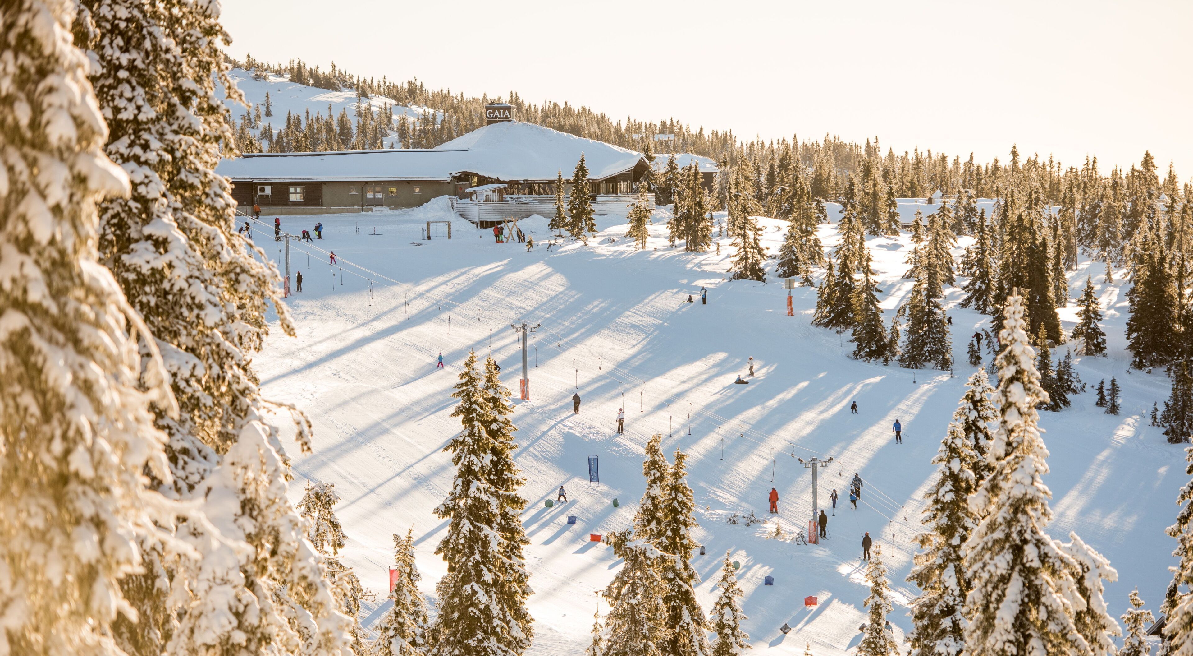 A ski resort with a lodge, ski slopes, and snow-covered trees.