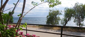 5m from the sea, family friendly, large garden with trees.