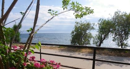 A 5m de la mer, familial et convivial, grand jardin arboré.