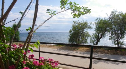 5m from the sea, family friendly, large garden with trees.