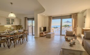 Télévision à écran plat, cheminée, lecteur de DVD, livres