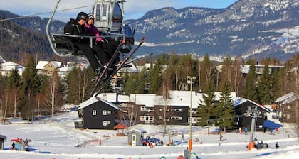 Hafjell Resort Alpinlandsby Pluss