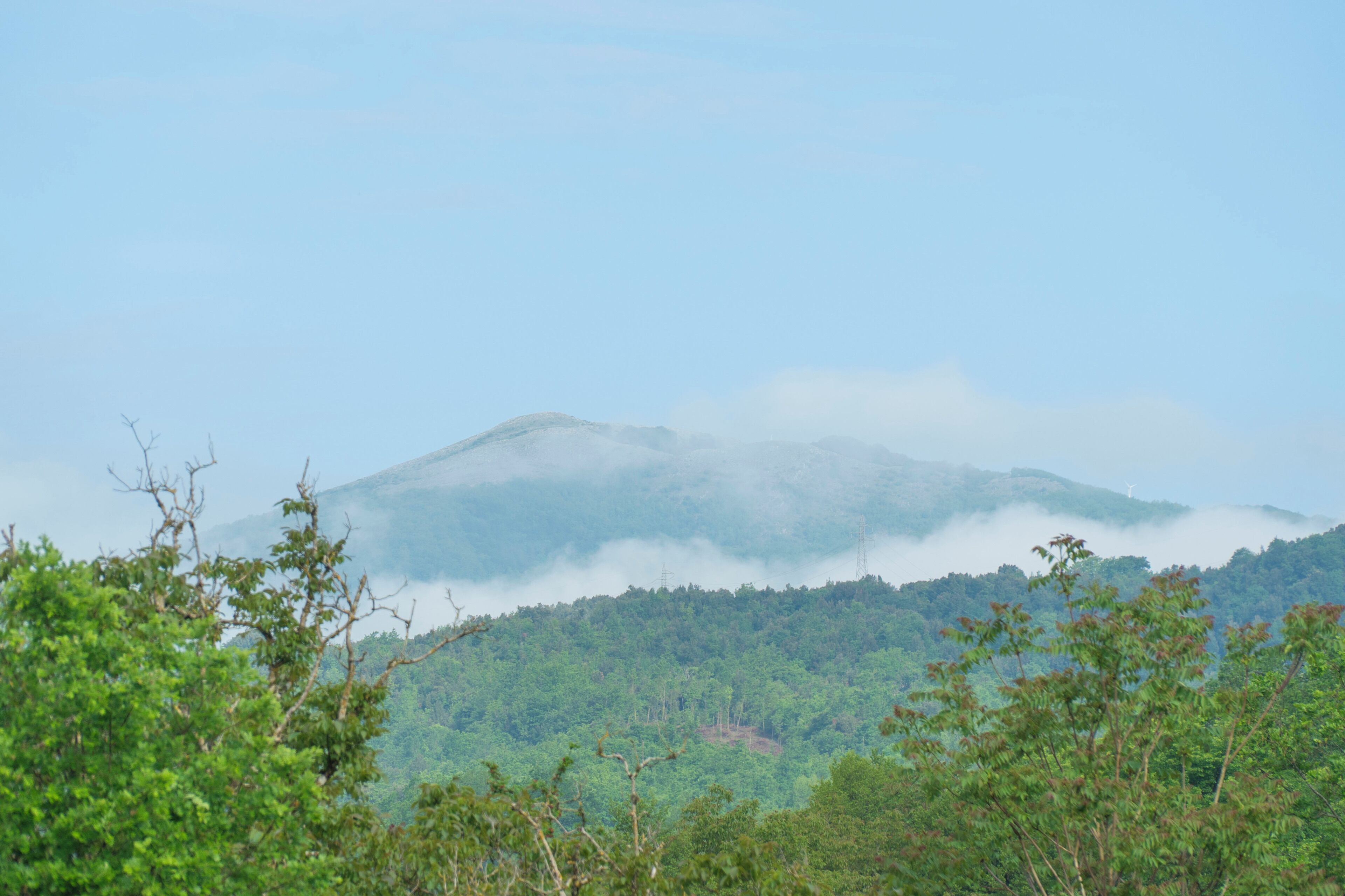 Un paisaje montañoso con denso bosque, cielo despejado y una turbina eólica a lo lejos.
