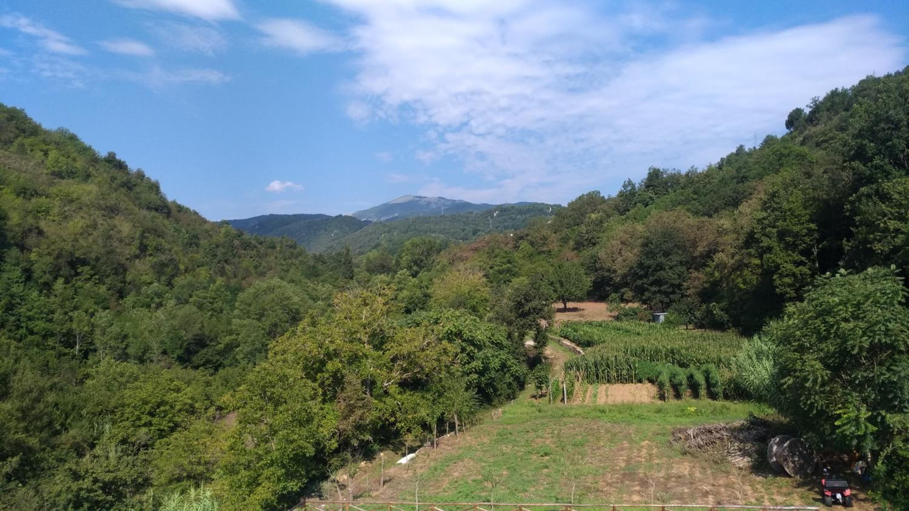 Um vale exuberante com floresta densa, uma trilha de terra e montanhas ao longe.