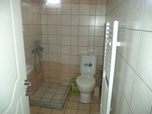 Secador de pelo, toallas, papel higiénico