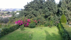 Un jardin bien entretenu, agrémenté d’une variété d’arbustes et de plantes à fleurs, avec une pelouse soigneusement tondue et un décor composé de grands arbres à feuilles persistantes.