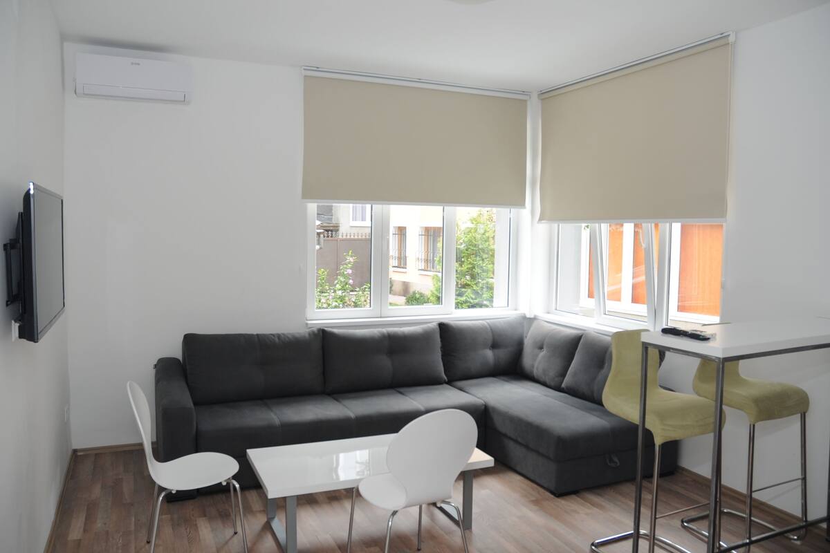 Standard Apartment | Living area