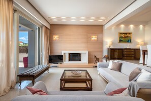 TV, fireplace, DVD player, books