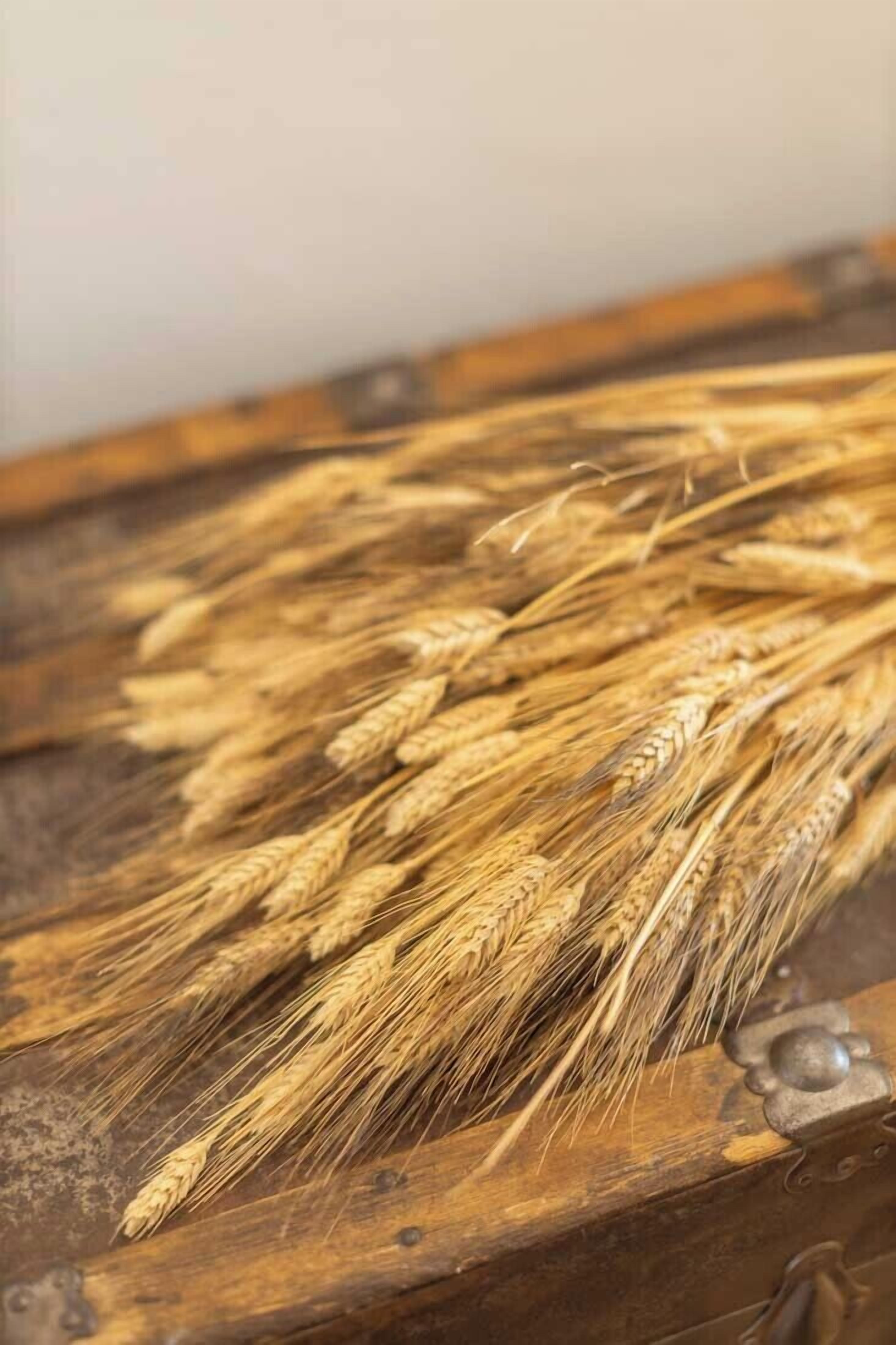 Primer plano de espigas de trigo sobre una superficie de madera.