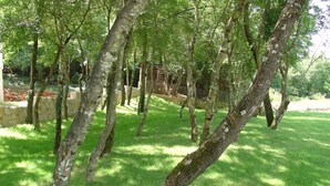 Un espace verdoyant bien entretenu, agrémenté d’arbres et bordé d’un mur de pierres.