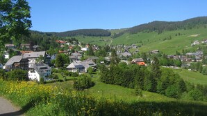 A village with houses, a road, and a hill in the background. - Pension Birgit (Todtnau)
