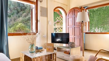 Smart TV, DVD player, books, video library