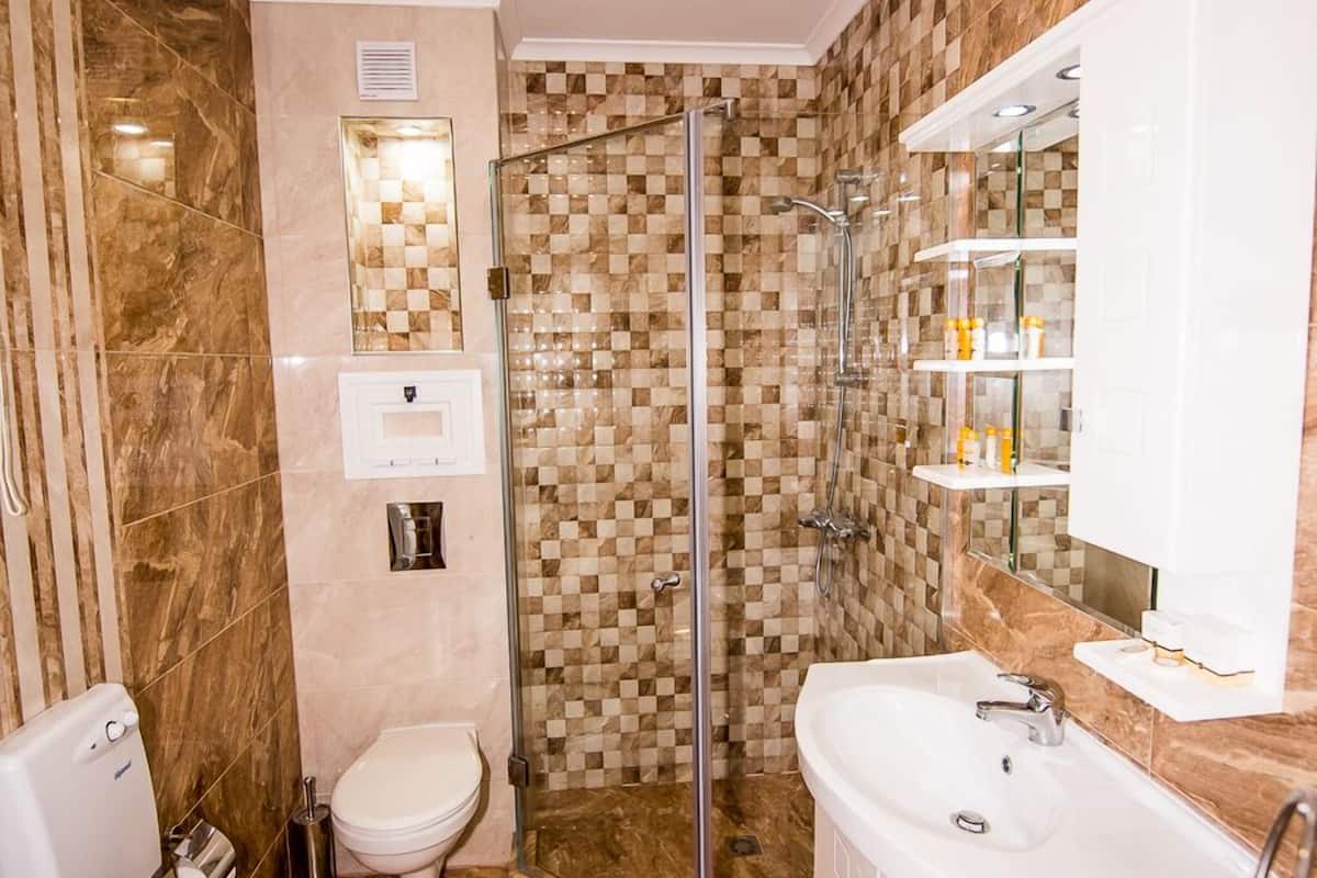 shower, free toiletries, hair dryer, towels