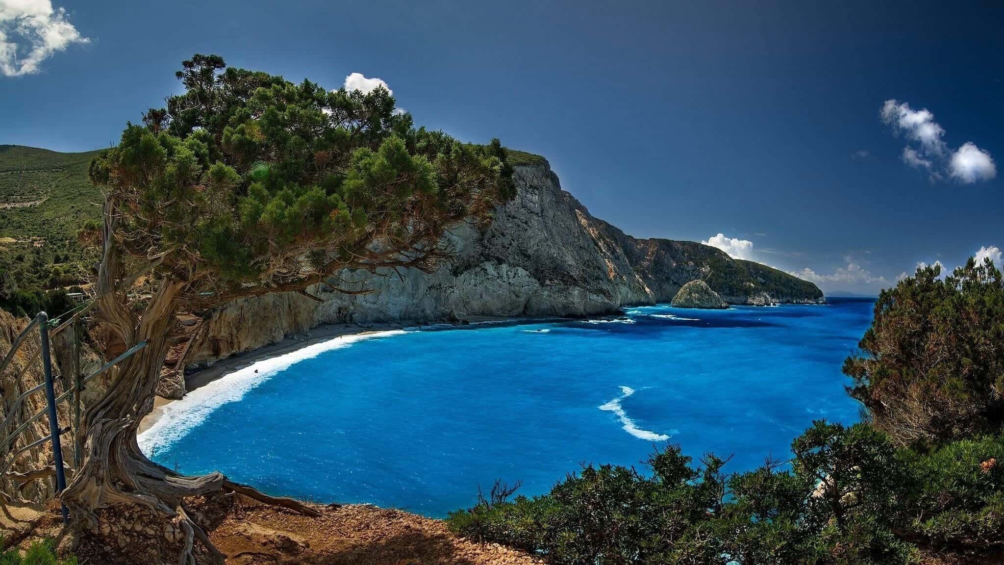 Un paysage côtier caractérisé par une mer bleue et limpide, des falaises rocheuses et une végétation luxuriante.