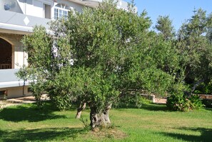 Overnattingsstedets uteområder