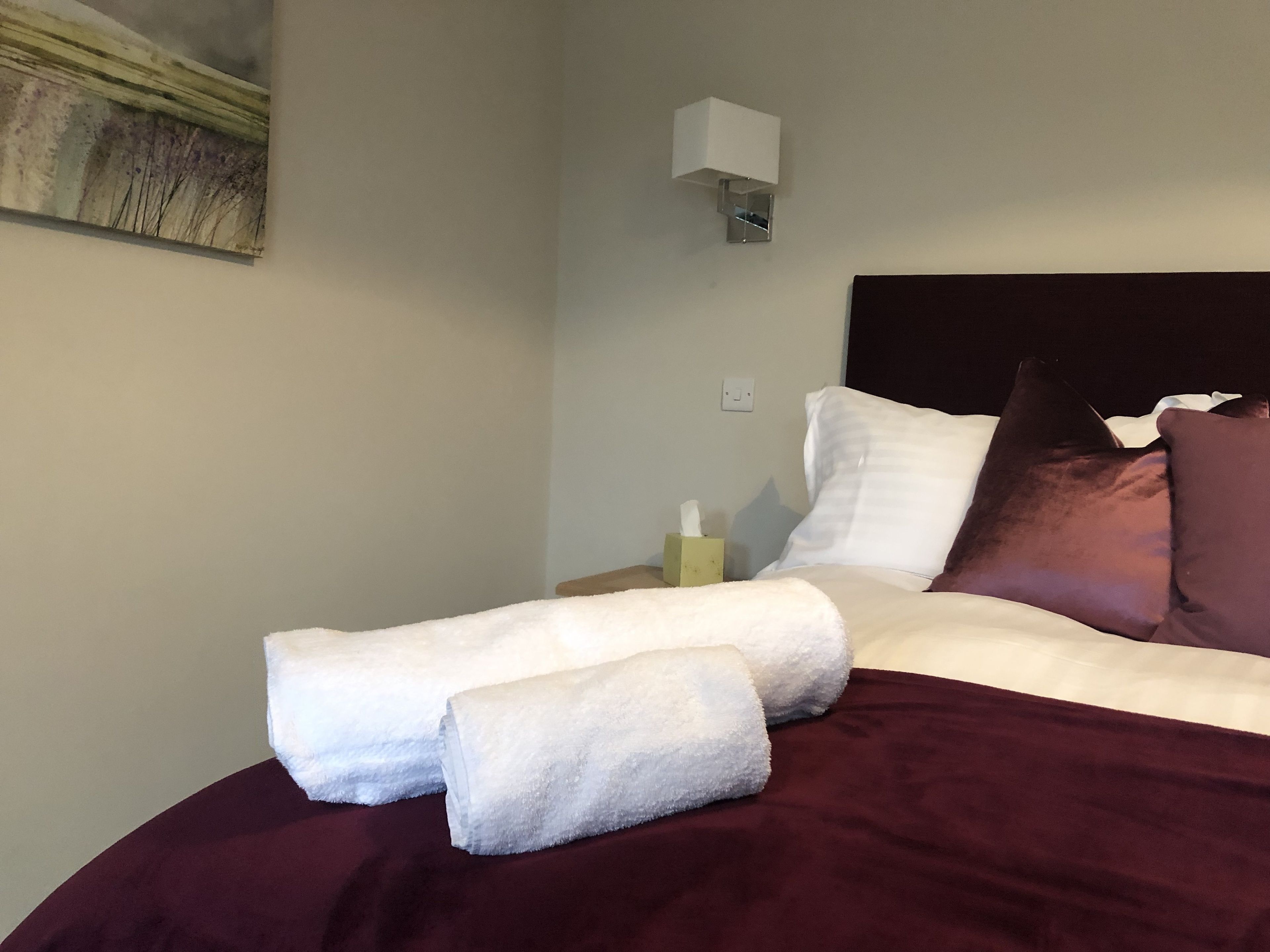 A neatly made bed with white and brown bedding, a bedside table with a tissue box, and a wall-mounted light fixture.