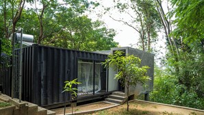 A modern, minimalist house with a large glass window, surrounded by dense greenery. - Area 4 eco cubes (Ella)