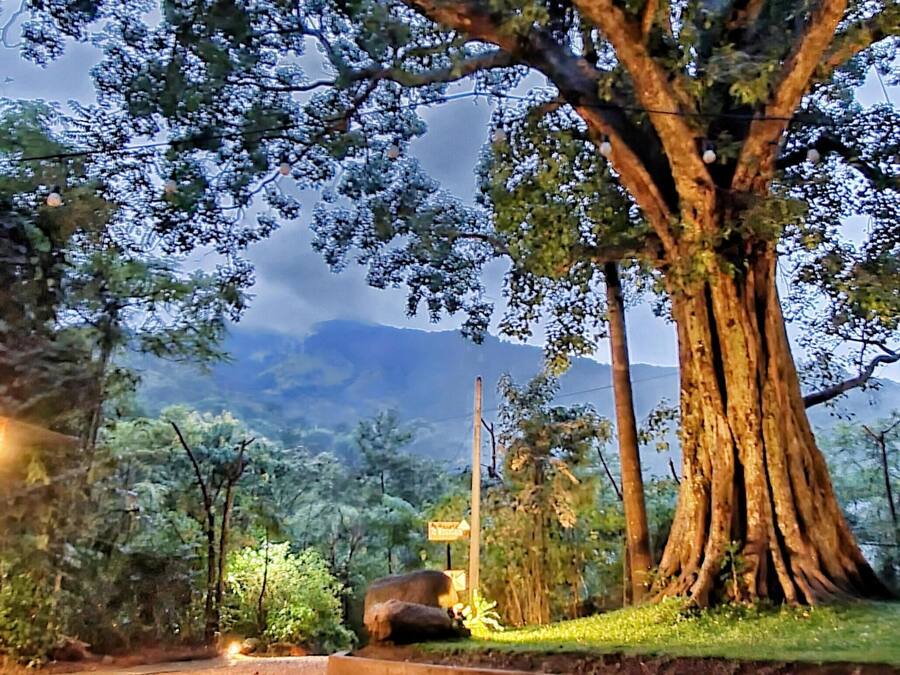 Fachada de la propiedad