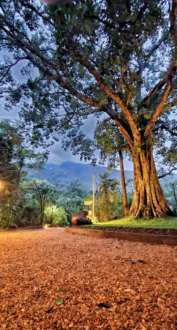 Fachada de la propiedad