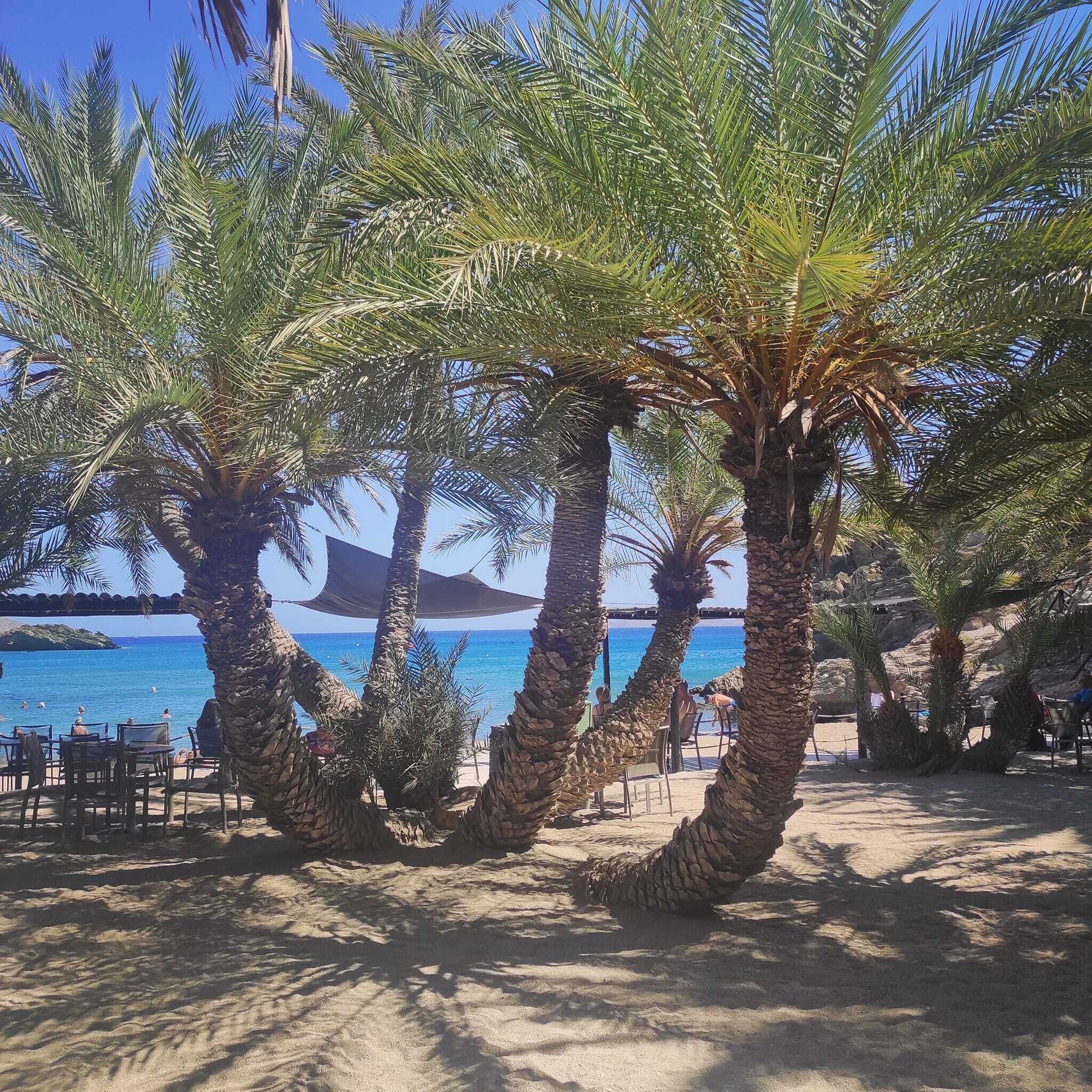 In Strandnähe
