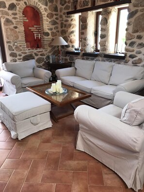Smart TV, chimenea, reproductor de DVD y estéreo 