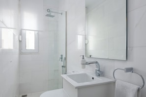 A modern bathroom with a glass shower enclosure, a white sink, and a large mirror.