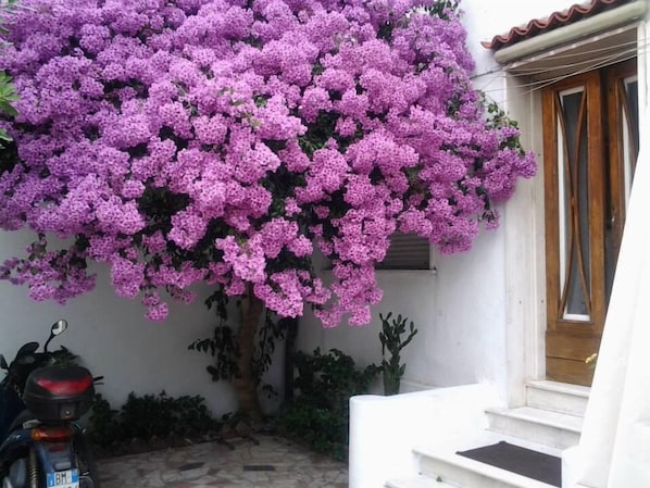 Exterior detail - Villa Lea (Viareggio)