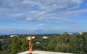 Property grounds - Rumpis traditional stone house  (Χανιά)