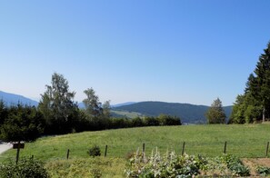 Apartment, 1 Bedroom, Valley View | View from room - Apartment Panorama (Zrece)