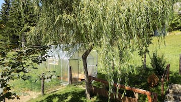 Taman