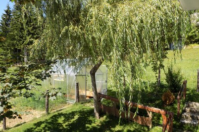 Apartment Panorama