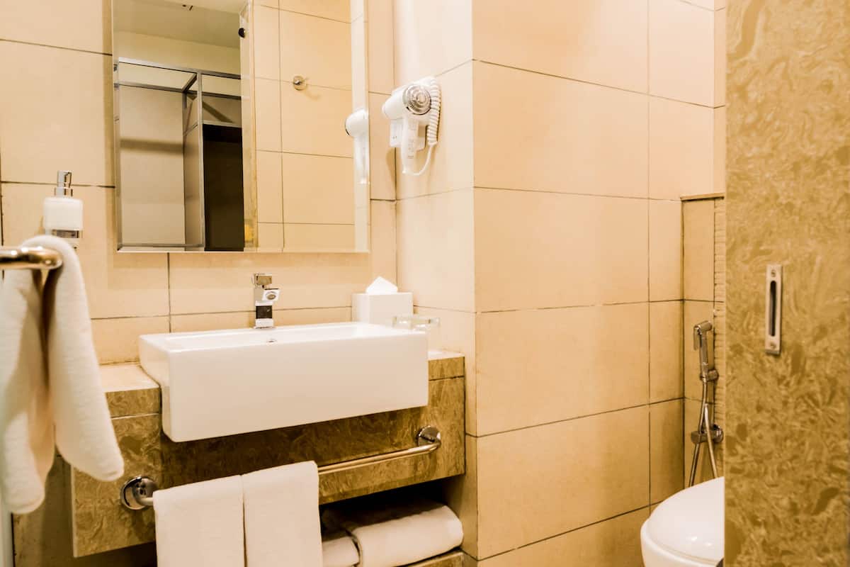 shower, hydromassage showerhead, designer toiletries, hair dryer