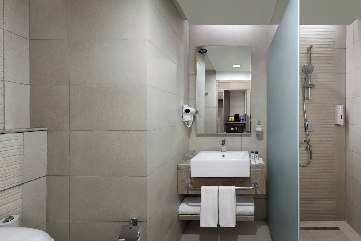 shower, hydromassage showerhead, designer toiletries, hair dryer