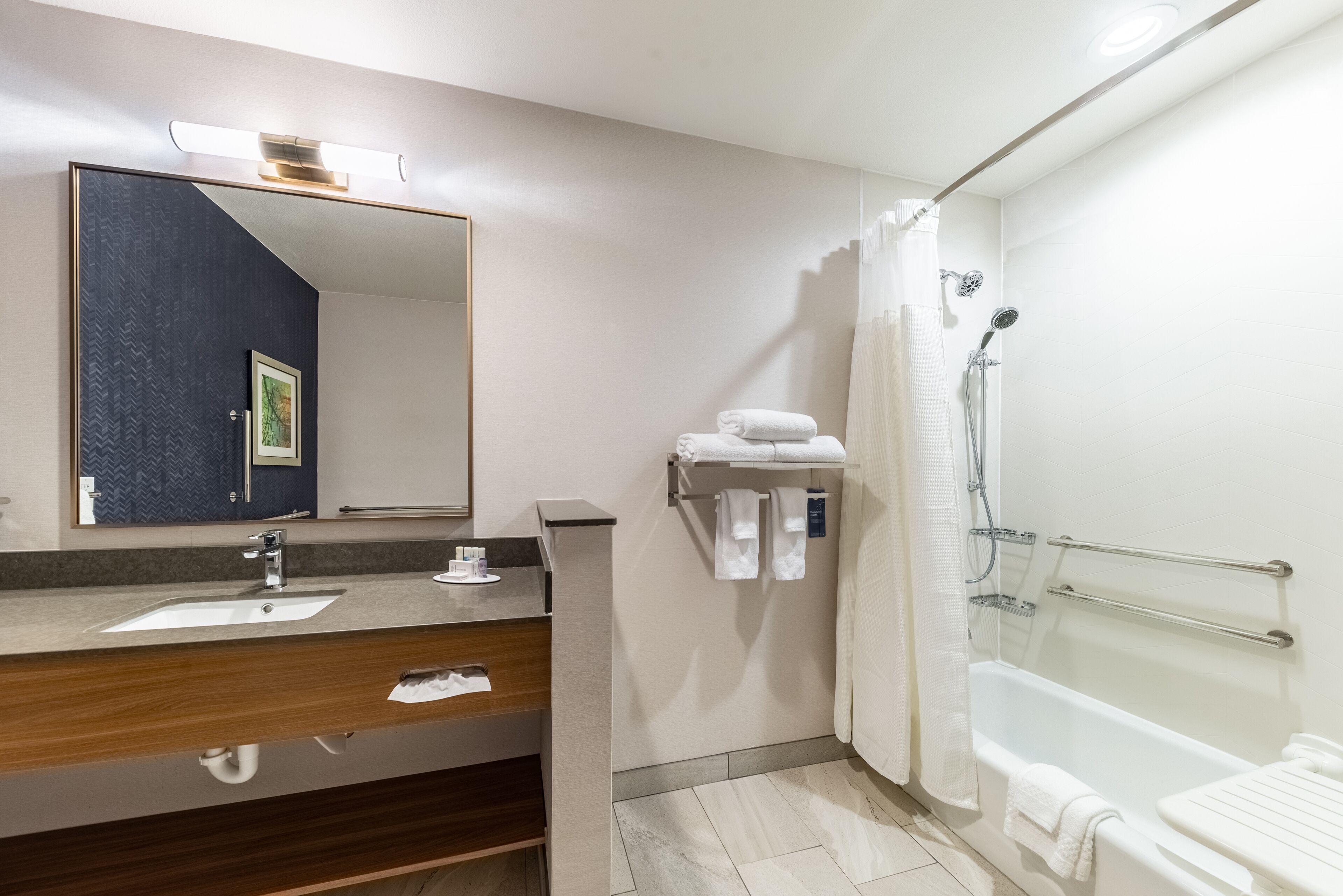 suite, 1 king bed with sofa bed | bathroom | free toiletries, hair dryer, towels, soap