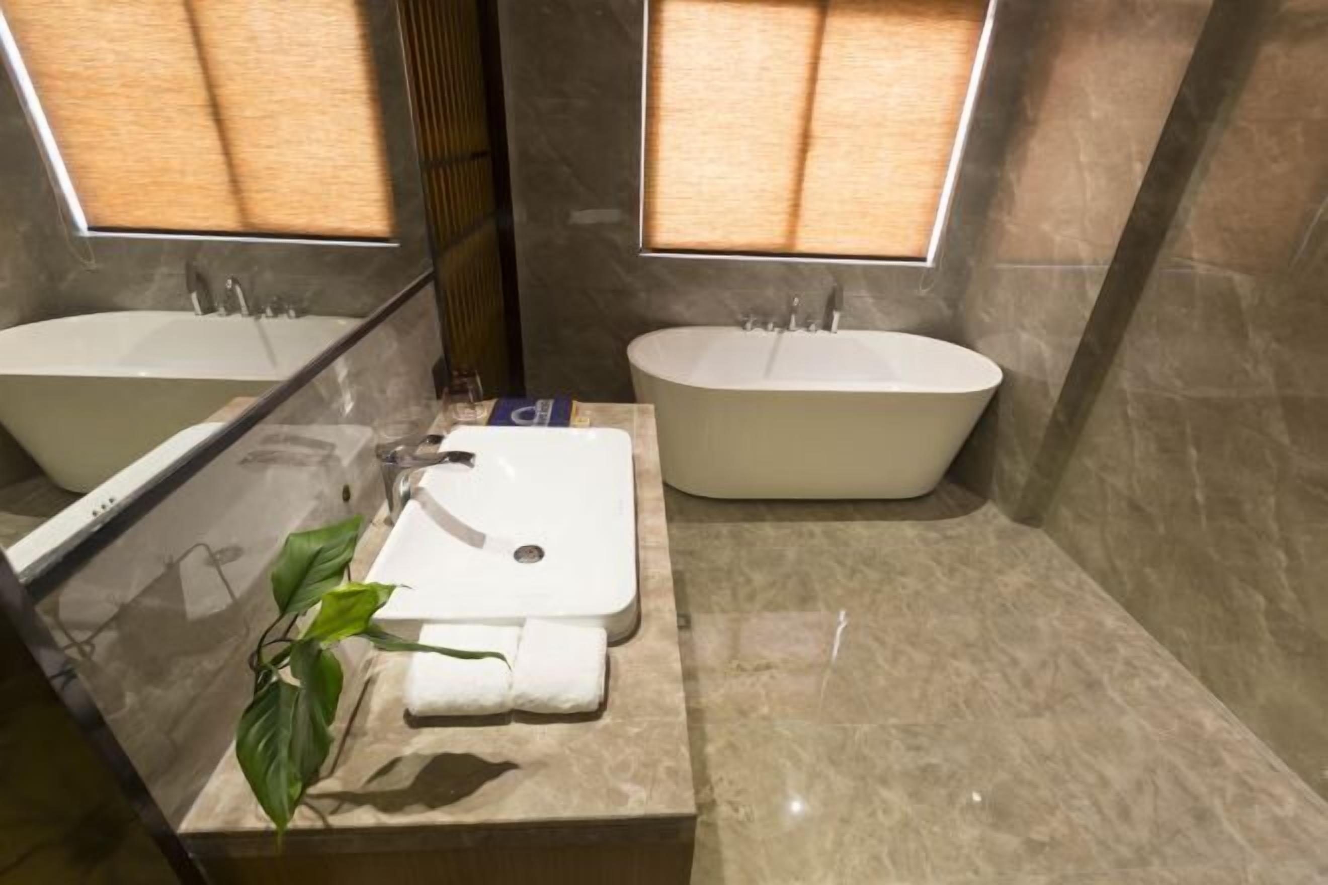 A bathroom with two sinks, a mirror, and a plant.
