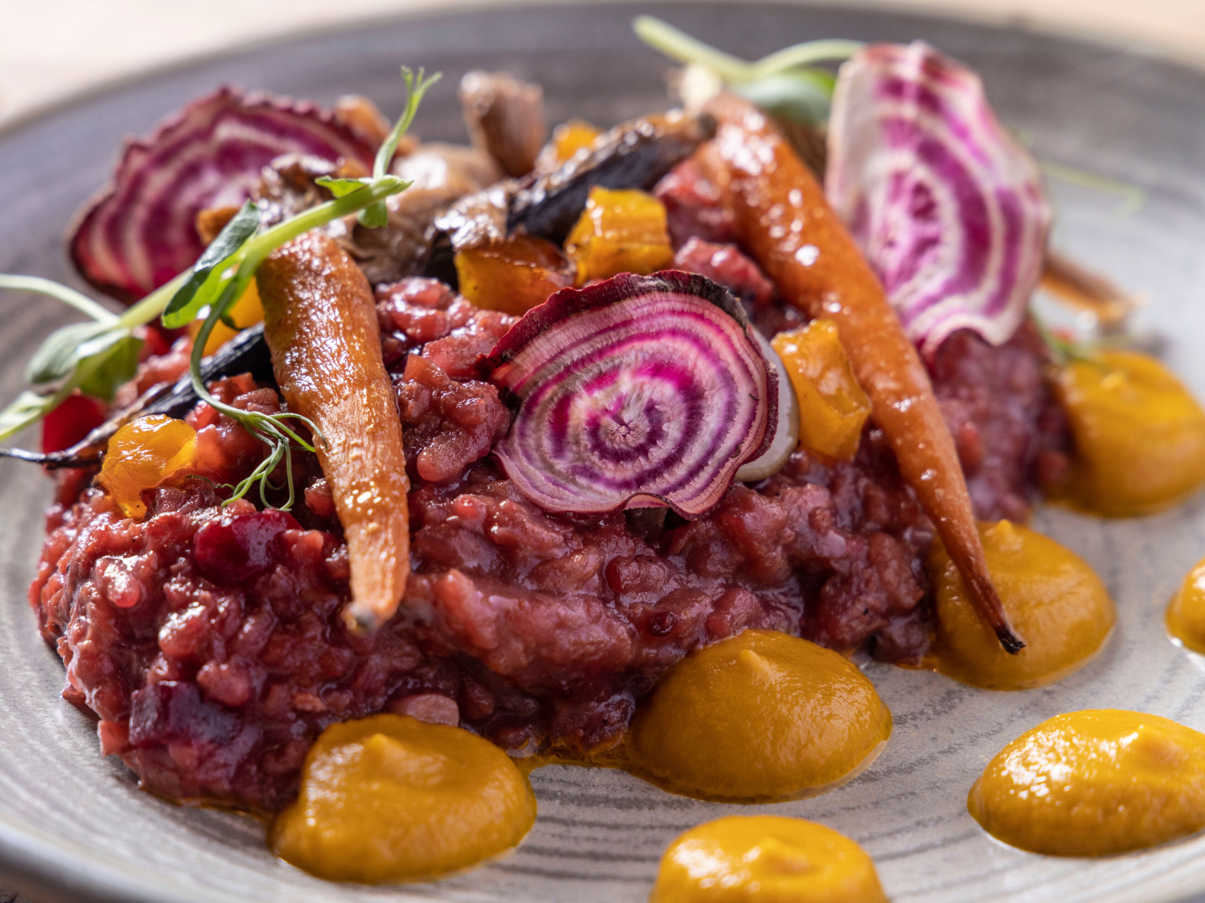 Photo - Wren Urban Nest